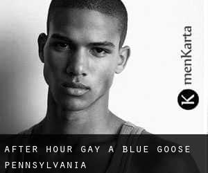 After Hour Gay a Blue Goose (Pennsylvania)