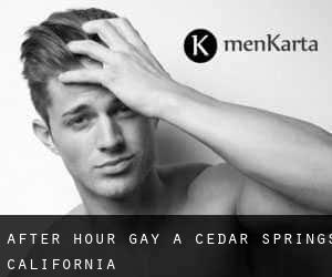 After Hour Gay a Cedar Springs (California)