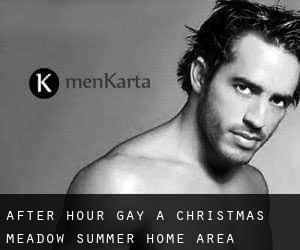 After Hour Gay a Christmas Meadow Summer Home Area