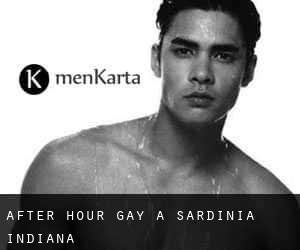 After Hour Gay a Sardinia (Indiana)