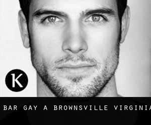 Bar Gay a Brownsville (Virginia)