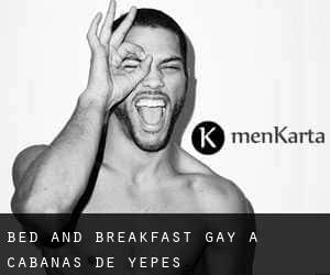 Bed and Breakfast Gay a Cabañas de Yepes