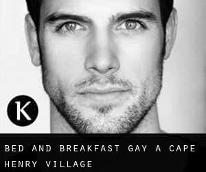 Bed and Breakfast Gay a Cape Henry Village