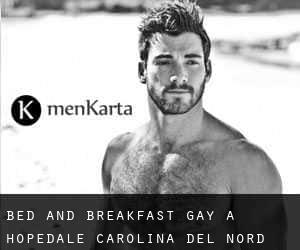 Bed and Breakfast Gay a Hopedale (Carolina del Nord)