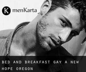 Bed and Breakfast Gay a New Hope (Oregon)