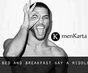 Bed and Breakfast Gay a Riddle