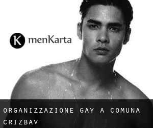 Organizzazione Gay a Comuna Crizbav