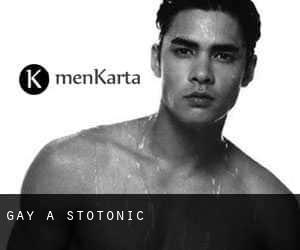 Gay a Stotonic