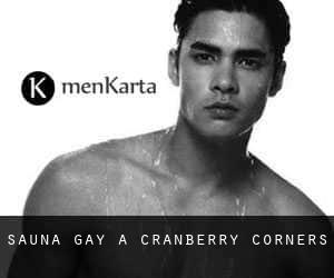 Sauna Gay a Cranberry Corners