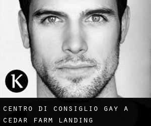 Centro di Consiglio Gay a Cedar Farm Landing