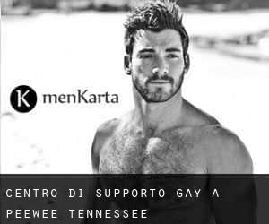 Centro di Supporto Gay a Peewee (Tennessee)
