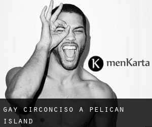 Gay Circonciso a Pelican Island