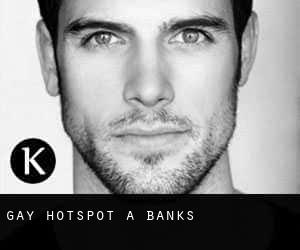 Gay Hotspot a Banks