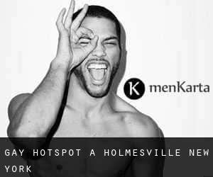 Gay Hotspot a Holmesville (New York)