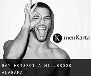 Gay Hotspot a Millbrook (Alabama)