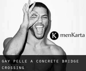 Gay Pelle a Concrete Bridge Crossing