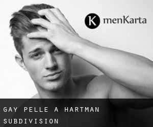 Gay Pelle a Hartman Subdivision