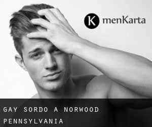 Gay Sordo a Norwood (Pennsylvania)