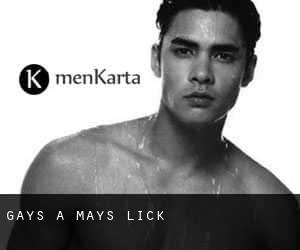 Gays a Mays Lick