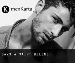 Gays a Saint Helens