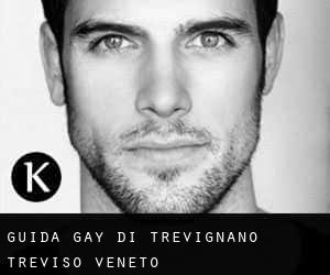 guida gay di Trevignano (Treviso, Veneto)