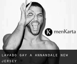 Lavabo Gay a Annandale (New Jersey)