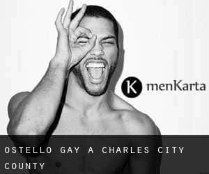 Ostello Gay a Charles City County