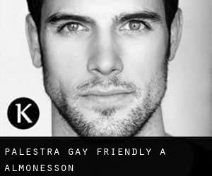 Palestra Gay Friendly a Almonesson
