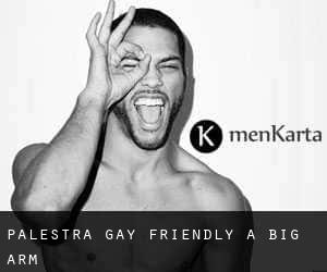 Palestra Gay Friendly a Big Arm
