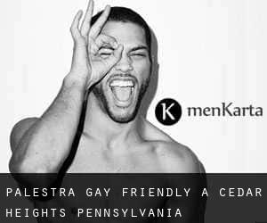 Palestra Gay Friendly a Cedar Heights (Pennsylvania)
