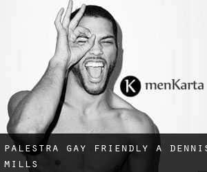 Palestra Gay Friendly a Dennis Mills