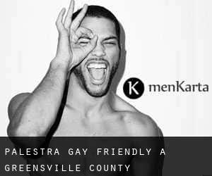 Palestra Gay Friendly a Greensville County