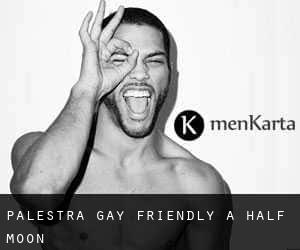 Palestra Gay Friendly a Half Moon