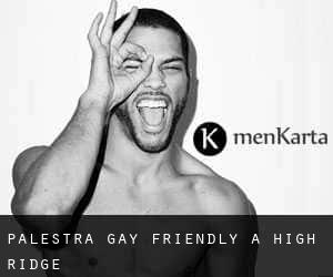 Palestra Gay Friendly a High Ridge