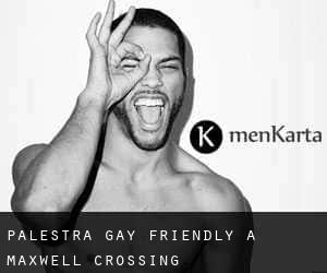 Palestra Gay Friendly a Maxwell Crossing