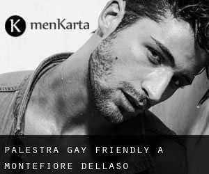Palestra Gay Friendly a Montefiore dell'Aso