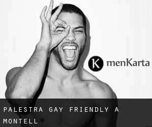 Palestra Gay Friendly a Montell