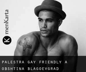 Palestra Gay Friendly a Obshtina Blagoevgrad