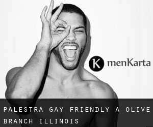 Palestra Gay Friendly a Olive Branch (Illinois)