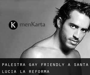 Palestra Gay Friendly a Santa Lucía La Reforma