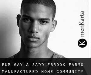 Pub Gay a Saddlebrook Farms Manufactured Home Community