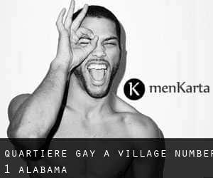 Quartiere Gay a Village Number 1 (Alabama)