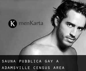 Sauna pubblica Gay a Adamsville (census area)