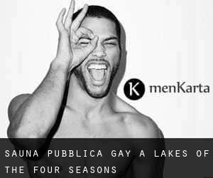Sauna pubblica Gay a Lakes of the Four Seasons