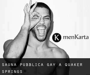 Sauna pubblica Gay a Quaker Springs