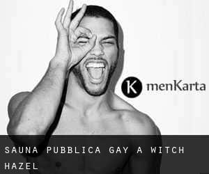 Sauna pubblica Gay a Witch Hazel