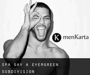 Spa Gay a Evergreen Subdivision