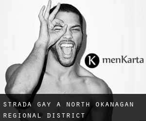 Strada Gay a North Okanagan Regional District